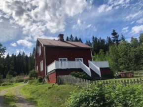 Huset i skogen med utsikten, Vallsta